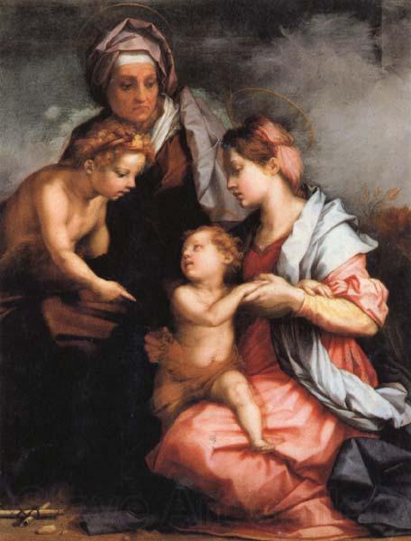 Andrea del Sarto Madonna and Child wiht SS.Elizabeth and the Young john France oil painting art